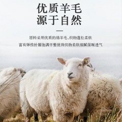 【请备注颜色】绵羊毛发热棉气质V领-套装【石榴红 燕麦杏 黑色 大红】320克均码  （80-140斤）CM618