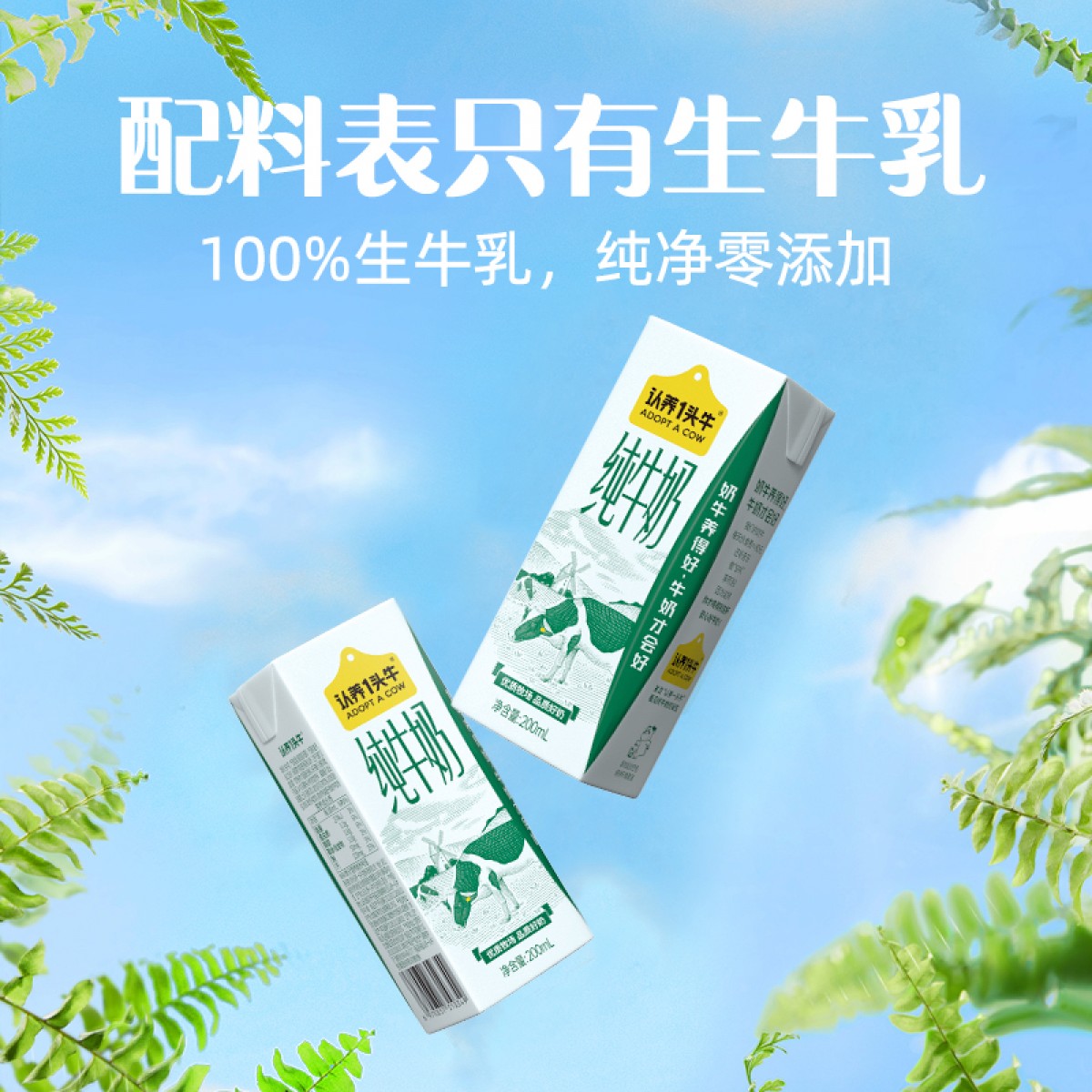 认养一头牛200ml*12盒