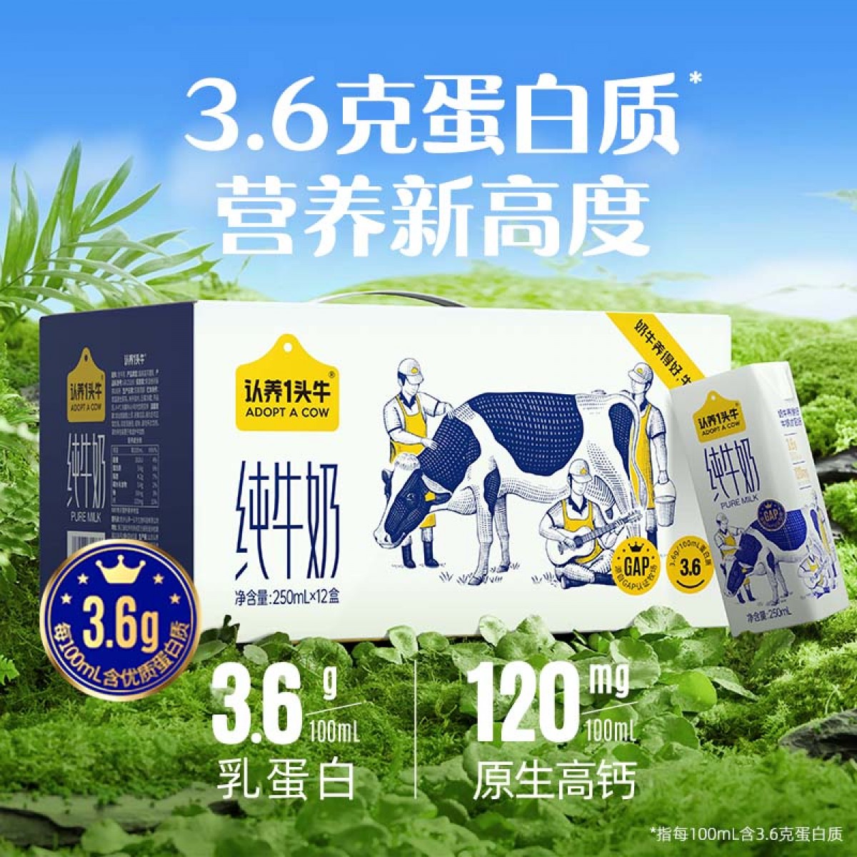 认养一头牛3.6g纯牛奶250ml*12盒