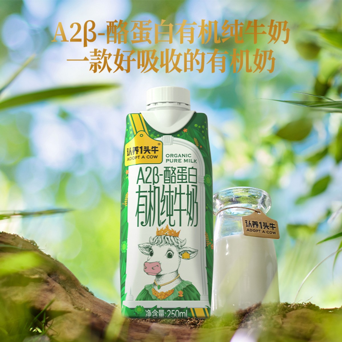 A2β-酪蛋白有机纯牛奶250ml*10盒