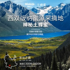 妙思丁西双版纳土蜂蜜500gx2