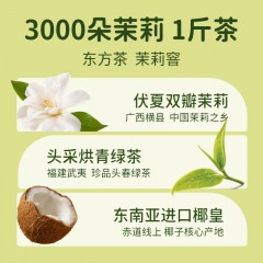 可可满分 PET茉莉椰乳茶320ml*12盒