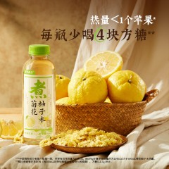 可可满分 枇杷雪梨+菊花柚子5瓶*500mL （组合口味）